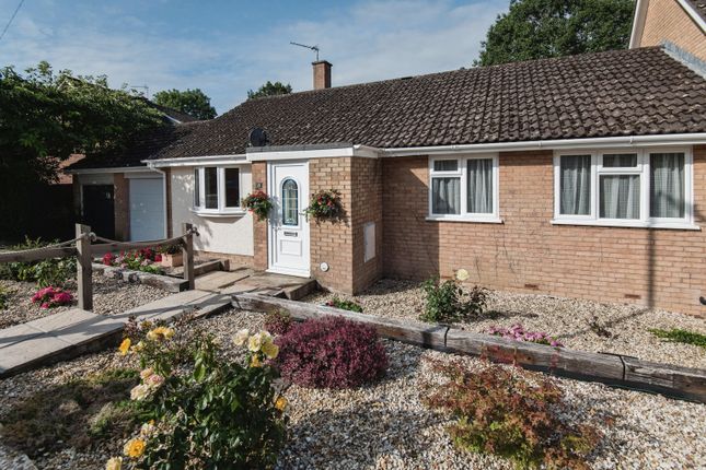 Thumbnail Bungalow for sale in Willowdale Close, Honiton