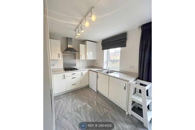 Fetlock Drive, Bradford photo 2