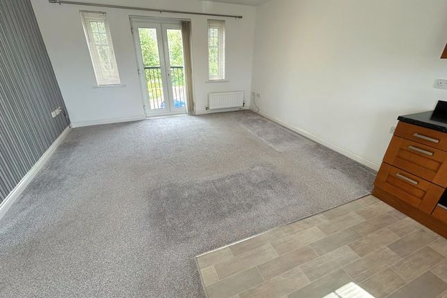 Kitchen/Living Area