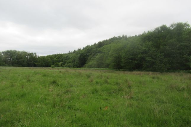 Land for sale in St Giles, Launceston