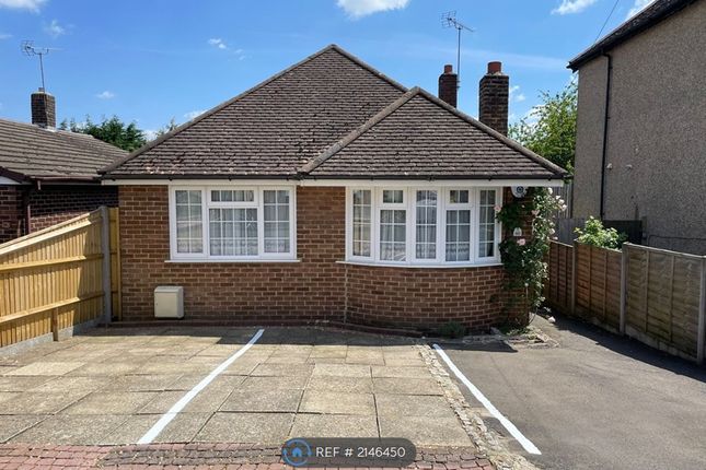 Bungalow to rent in Tremona Road, Southampton
