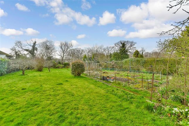 Detached bungalow for sale in The Green, Ewhurst, Cranleigh, Surrey