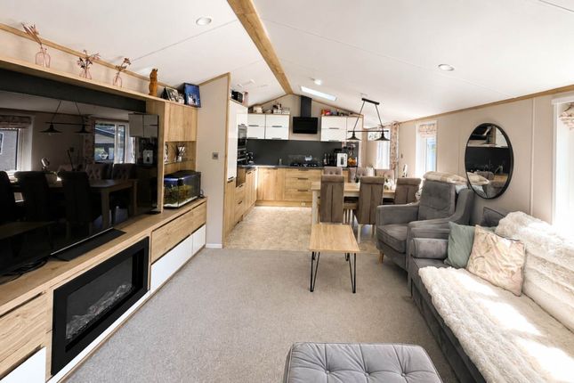 Atlas Ovation 2023, Hastings photo 3