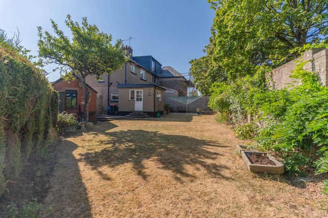 20 Beaufort Place, Newport photo 4