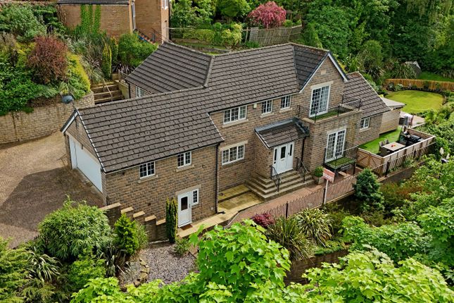 Thumbnail Detached house for sale in Rivelin Road, Sheffield