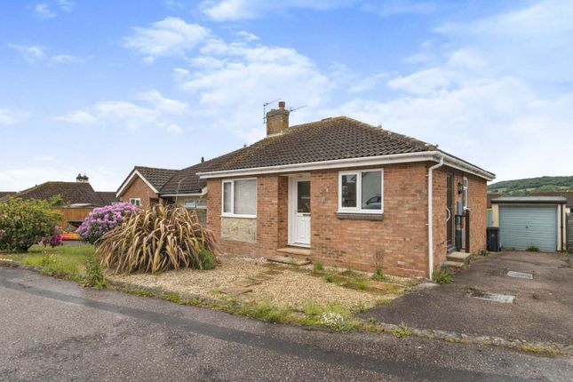 3 bed semi-detached bungalow for sale in Beech Close, Honiton EX14