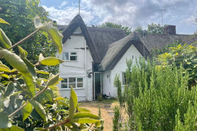 Back Of The House