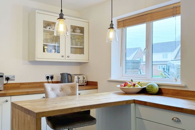11, Ware Cross Gardens, Newton Abbot photo 4
