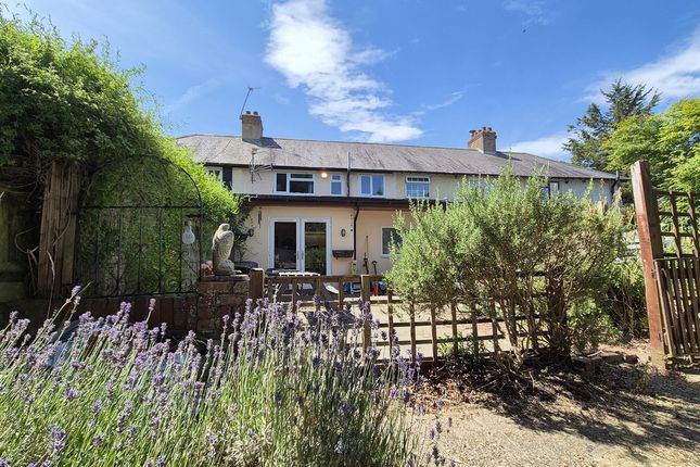36, The Model Village, Southam photo 2
