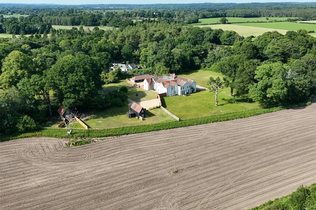 Drone View