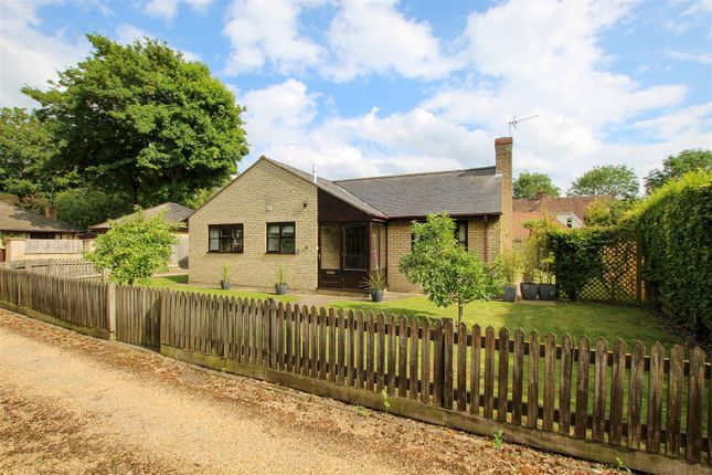 Thumbnail Detached bungalow to rent in West Green, Barrington, Cambridge