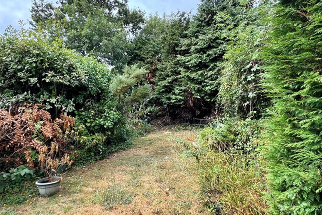 14, The Martells, Barton On Sea photo 2