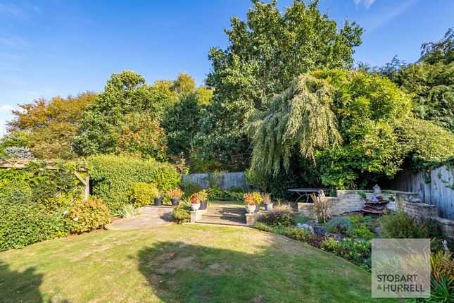 Meadow Drive, Norwich photo 4