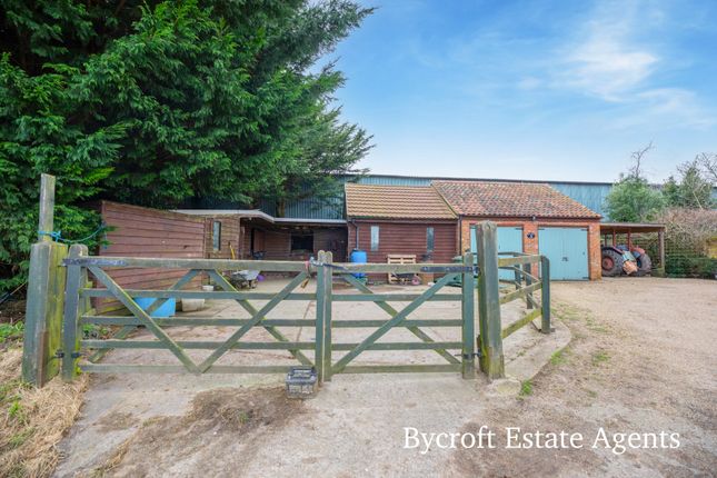 Barn conversion for sale in Low Road, South Walsham, Norwich