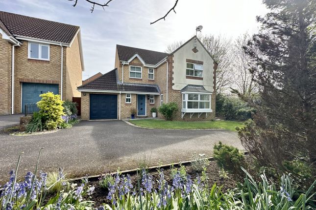 Thumbnail Detached house for sale in Jasmine Close, Yeovil, Somerset
