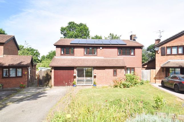 Thumbnail Detached house to rent in Minden Close, Chineham, Basingstoke