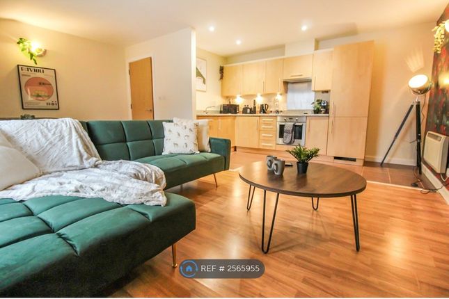 Living / Kitchen
