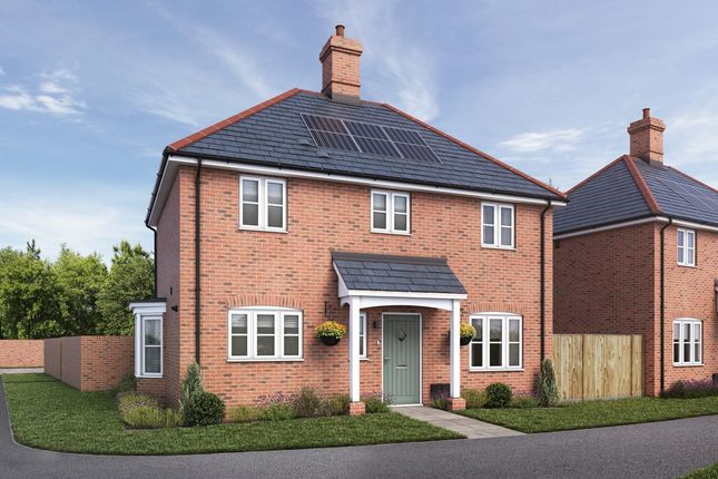 Knightwood Chase, Fordingbridge