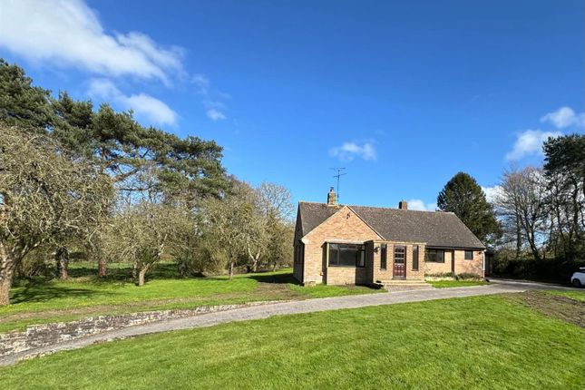 Thumbnail Detached bungalow for sale in Dowlish Wake, Ilminster