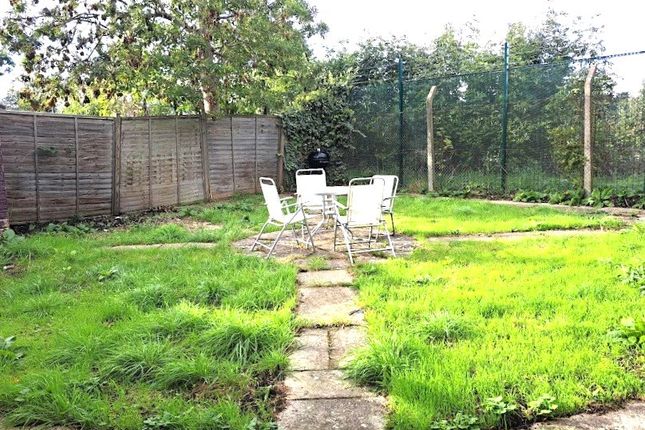 67A, Cedar Grove, Ealing photo 5