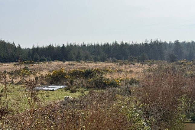 Hafod Y Grug, Nebo, Llanon photo 4
