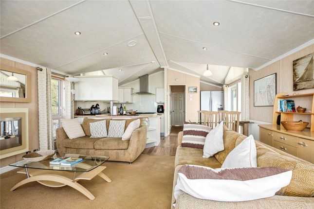 Lodge 2,, Gwalia Falls, Ceredigion photo 4