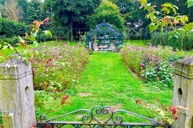 Kitchen Garden