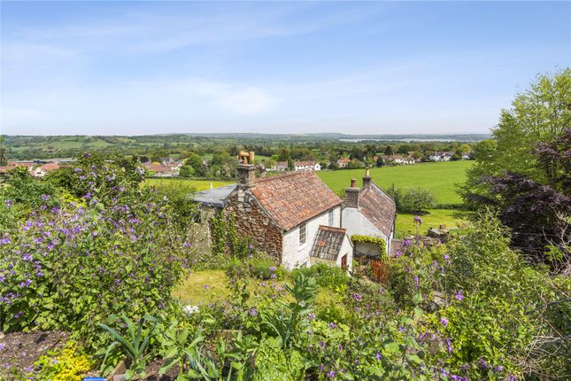Thumbnail Detached house for sale in The Coombe, Compton Martin, Somerset