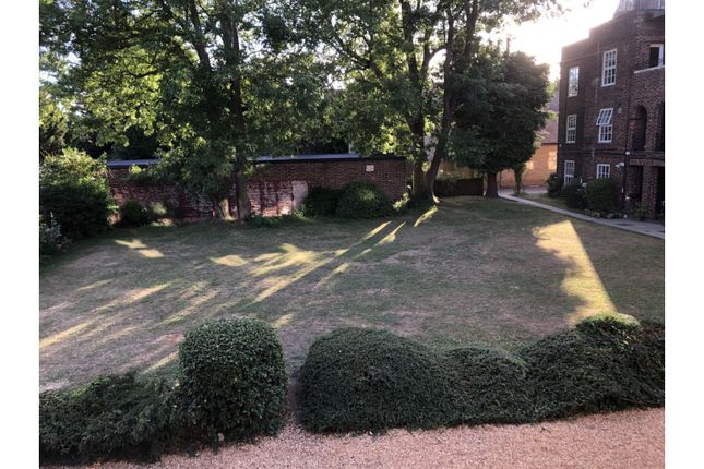 Communal Gardens