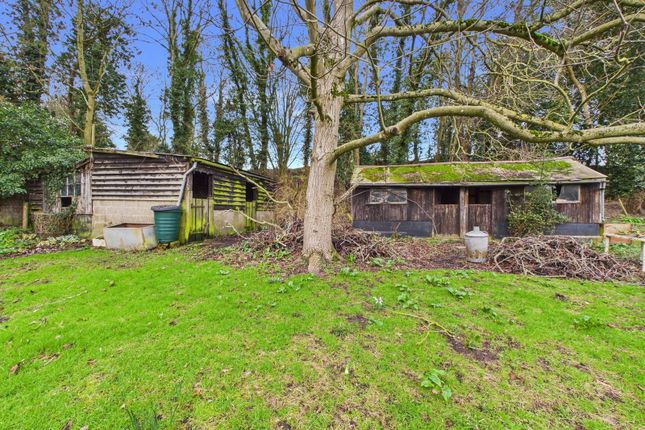Quarry Wood Cottage, Grove Road, Diss photo 2