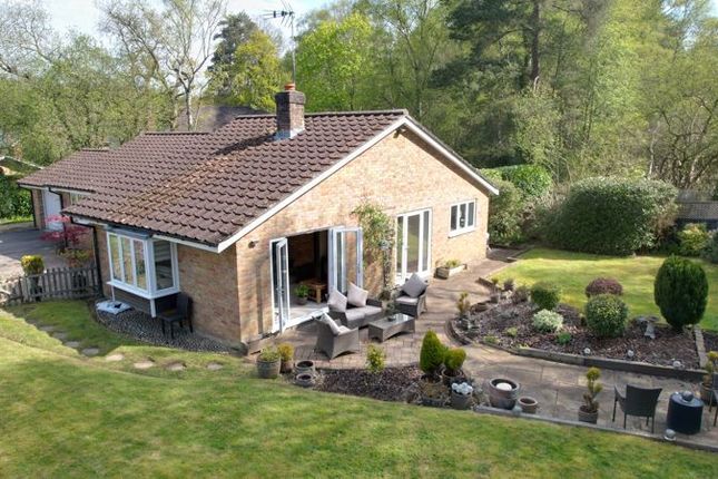 Bungalow for sale in Pines Road, Liphook