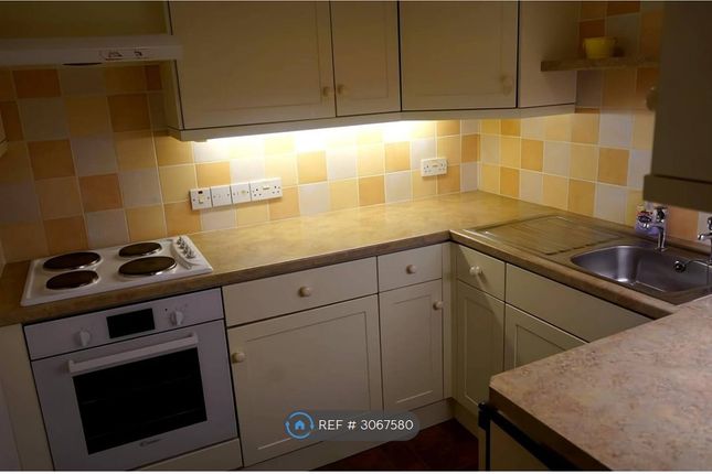 Caroline Buildings, Garden Flat, Bath photo 3