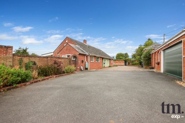 Thumbnail Bungalow for sale in Spring Gardens Road, Chappel, Colchester