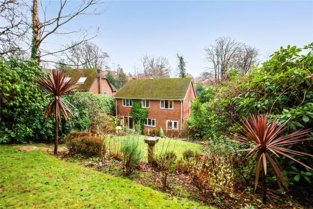 The Beeches,, Scotland Lane, Surrey photo 4