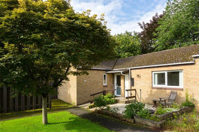 Thumbnail Bungalow for sale in Gardeners Close, Copmanthorpe, York, North Yorkshire