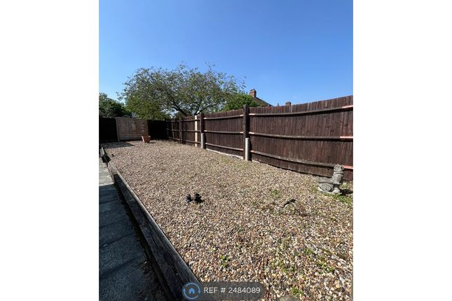 Back Garden