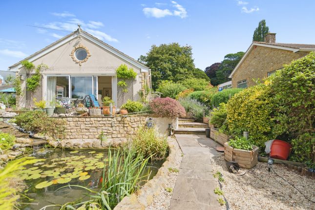 Detached bungalow for sale in Wadham Close, Ilminster