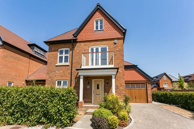 Thumbnail Detached house to rent in Rutland Close, Taplow, Maidenhead