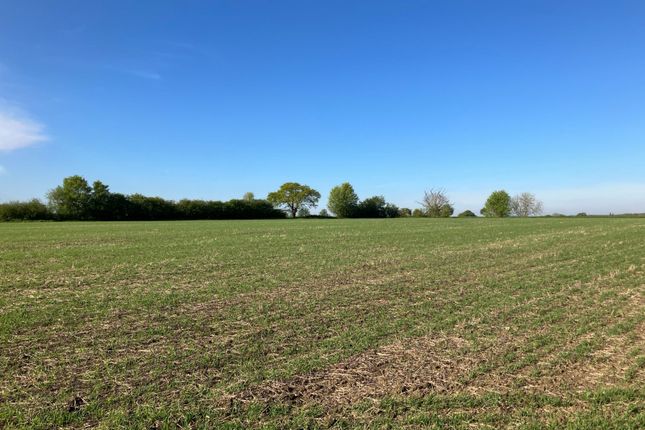 Thumbnail Land for sale in Norton Heath, Ingatestone, Essex