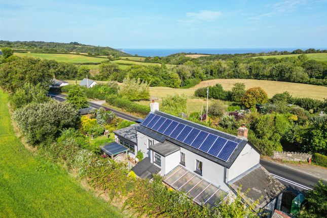 Hedgehog Cottage, Bideford photo 4