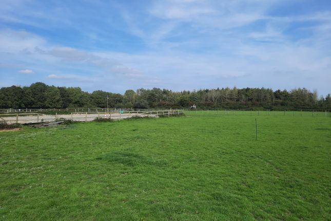Equestrian property for sale in Lewes Road, Laughton