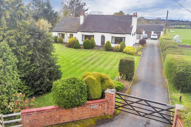 Detached bungalow for sale in Red Hall Lane, Penley, Wrexham