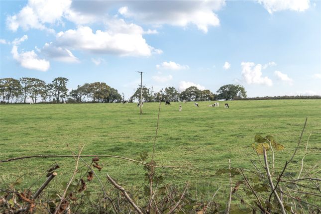 23, Fountain Fields, Umberleigh photo 2