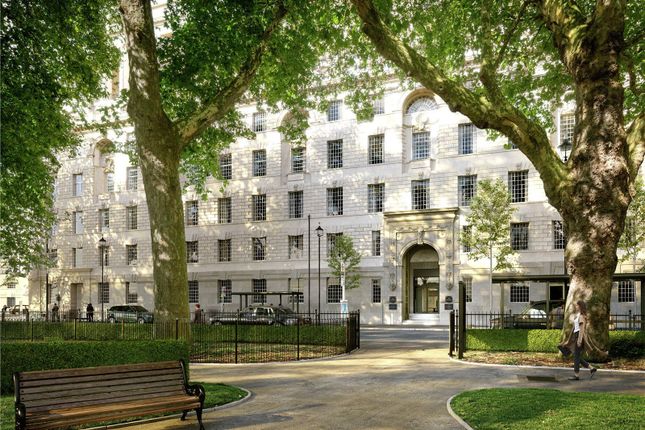 Millbank Residence, Westminster, London photo 5