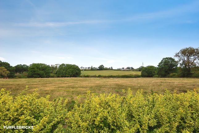 25, James Avenue, Herstmonceux photo 3