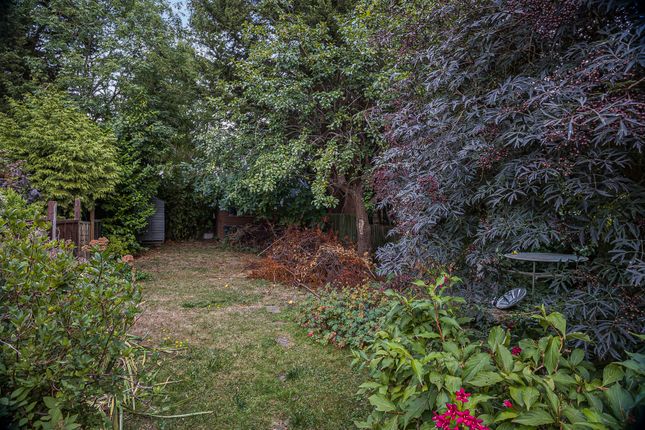 Garden (4)