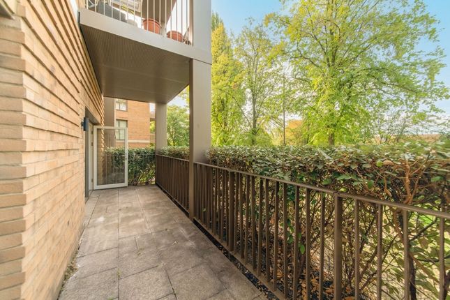 Flat 2, Buttercup Apts, London photo 4