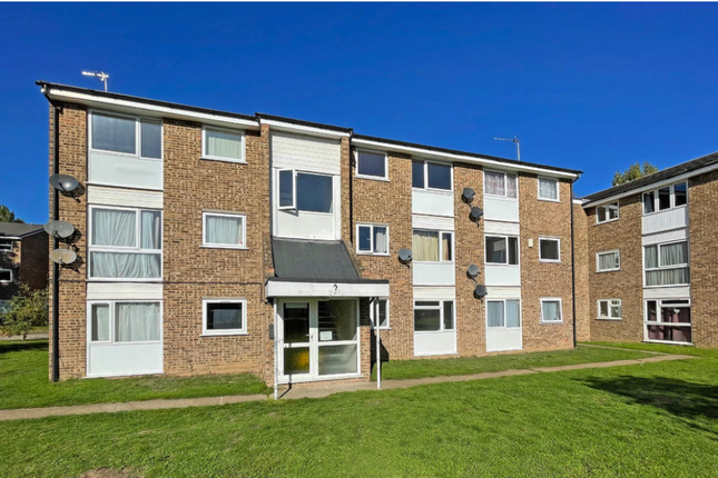 Thumbnail Flat to rent in Queen Mary Court, Queen Mary Avenue, Essex