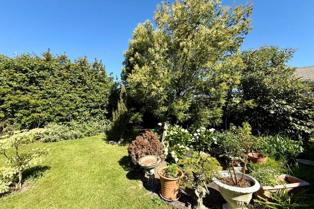 55, Anderida Road, Eastbourne photo 3