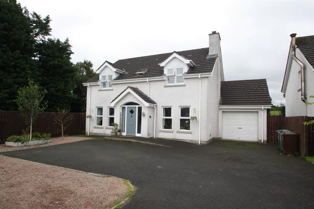 Thumbnail Detached house for sale in 2 Glen Valley, Magheraconluce Road, Annahilt